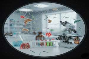 ریزذرات آلاینده در آب و غذا؛ تهدید پنهان سلامت